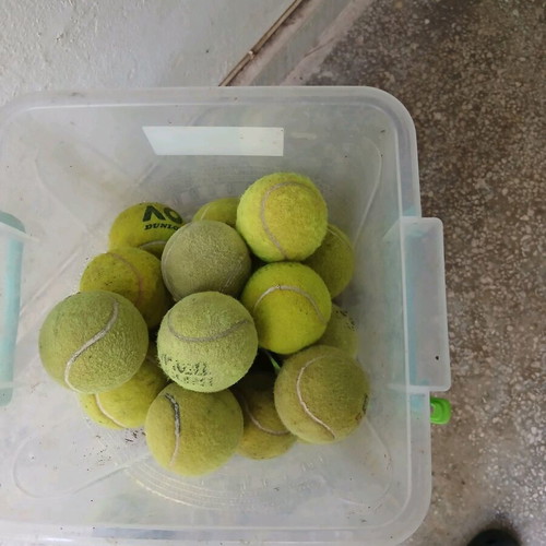 Tennis balls used, pack of 8, one Wilson new