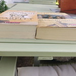 Two novels like new