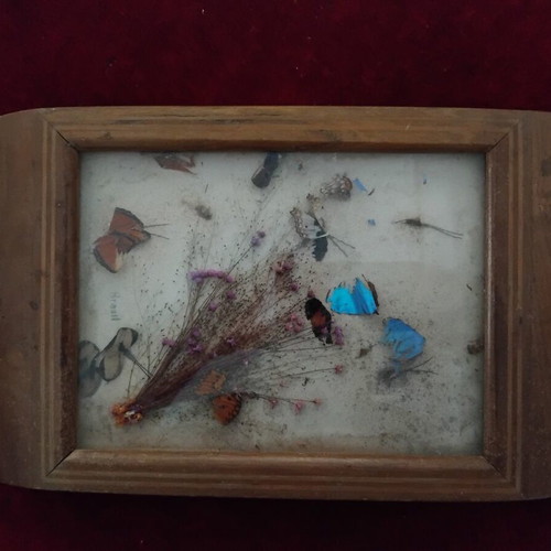 Vintage Brasil tray 36x21.5cm used with real butterfly wings