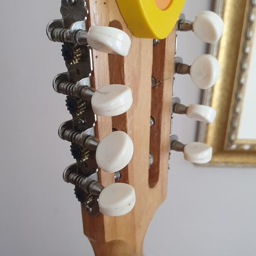 Bouzouki 8-string professional used with case