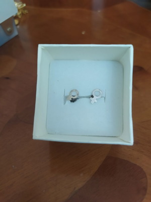 925 Silver Earrings with Male and Female Symbols, New