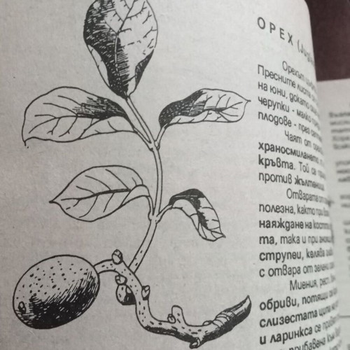 Health from the Lord's Pharmacy book like new