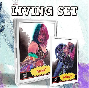 WWE Trading Cards - The Art Living Set