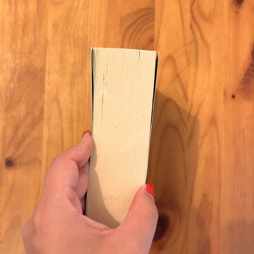Jo Nesbo The Devil's Star book