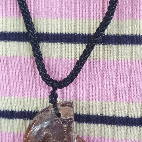 Ammonite pendant necklace, polished, adjustable string
