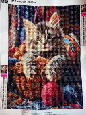 Handmade Canvas CAT Diamond Art like new