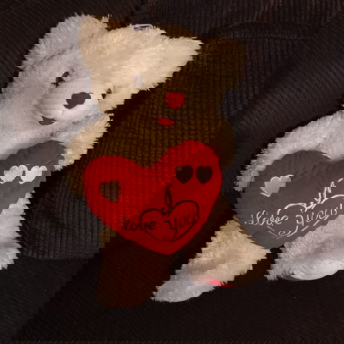 Λούτρινος αρκούδος λευκός με καρδιά μεταχειρισμένος