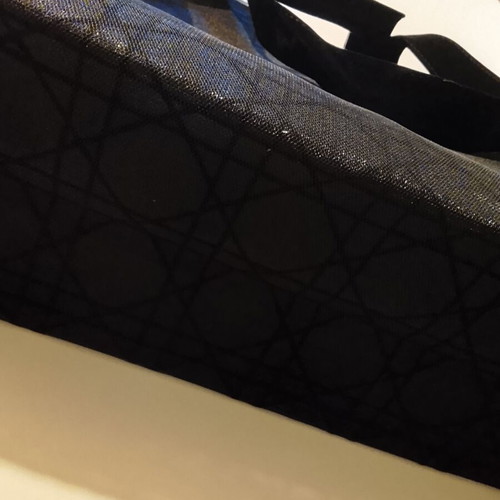 Christian Dior Paris Exclusive Mesh Tote Bag new with original packaging