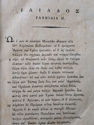 Ιλιάδος Ραψωδία 19ος αιώνας μεταχειρισμένο, 300 σελίδες
