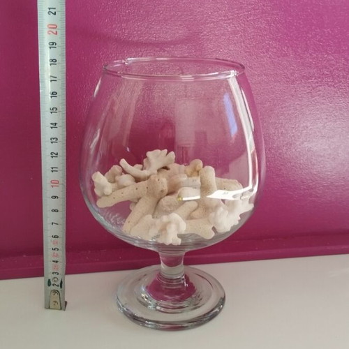 Various corals in a glass