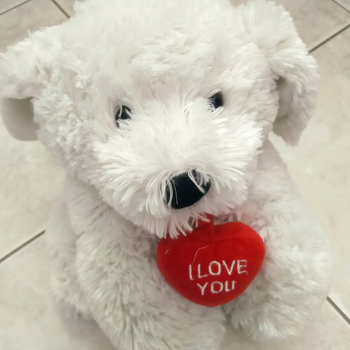 Plush Bear Dog Like New With I Love You Heart, 22cm