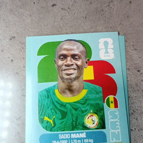 Panini FIFA World Cup 2026 sticker like new