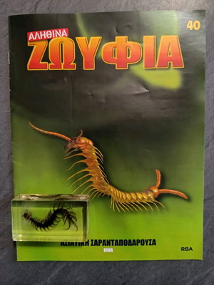 Real insects issue 40 used
