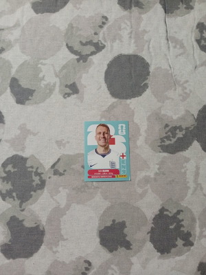 FIFA World Cup 2026 Sticker New