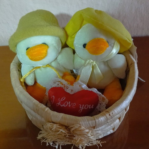 Plush ducks for Valentine's Day new
