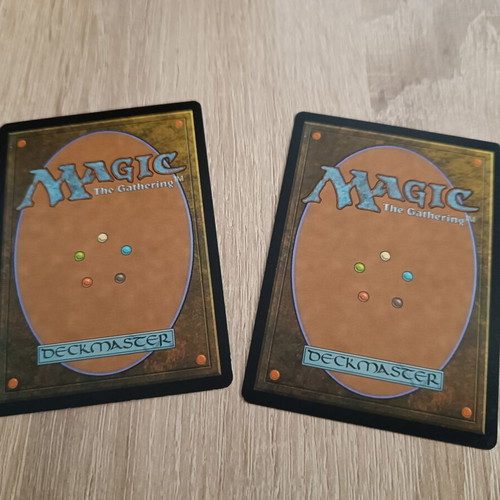 Forest MTG Basic Land cards mint condition