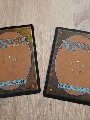 Forest MTG Basic Land cards mint condition