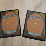 Forest MTG Basic Land cards mint condition