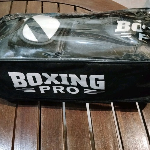 Boxing Pro Stripes 12 oz gloves like new with case