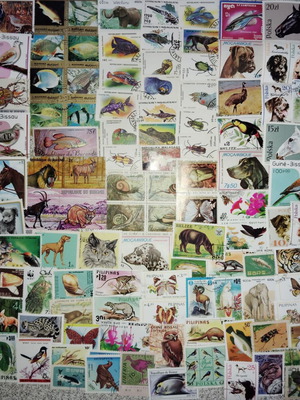 Thematic animal stamps collection