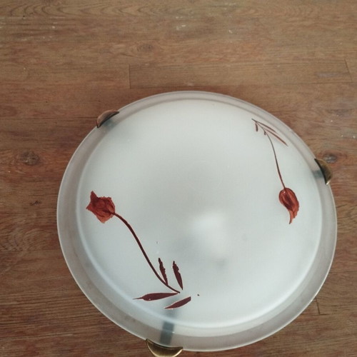Ceiling light glass used