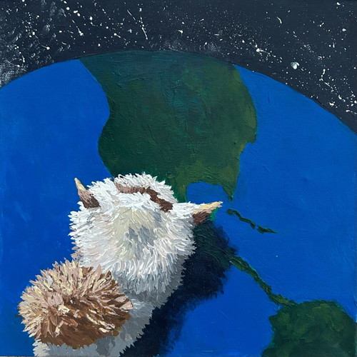 Cat on Earth canvas 40x40 like new
