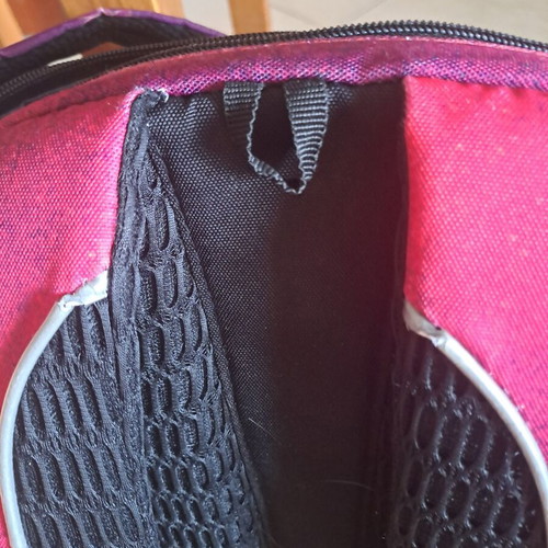 POLO Extenic Glow school backpack used with swan design