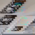  PROPHECY(GAMEBOY ADVANCE)