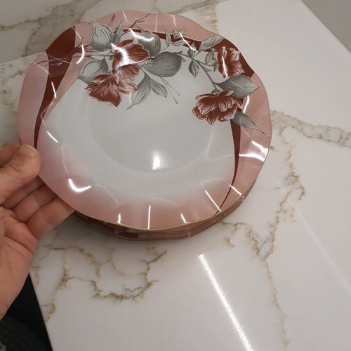 Set of 5 plates used