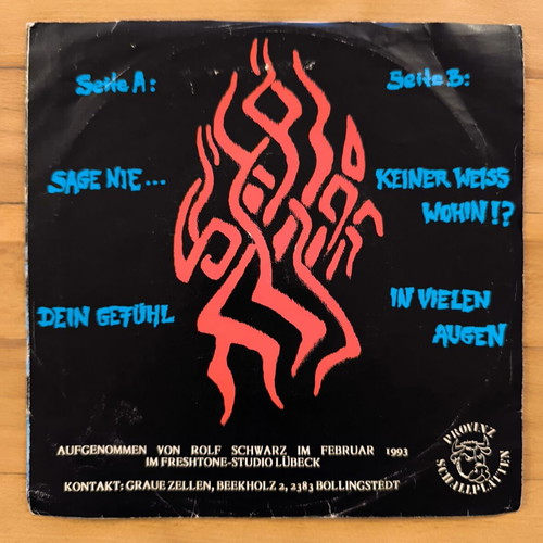 Graue Zellen 7-inch vinyl EP like new, punk