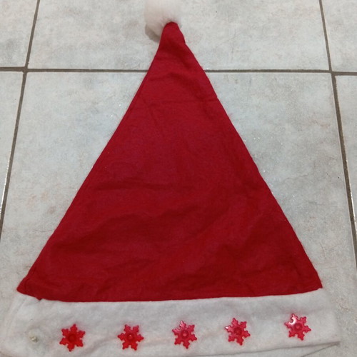 Christmas hat