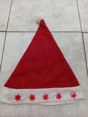 Christmas hat