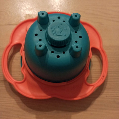 Lion rotating plate new with handles for small hands