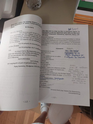 Lyceum Grade C Essay Workbook used with literary exercises