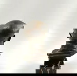  Pyotr  Tchaikovsky συλλεκτική μπρούτζινη προτομή της δεκαετίας του '60.