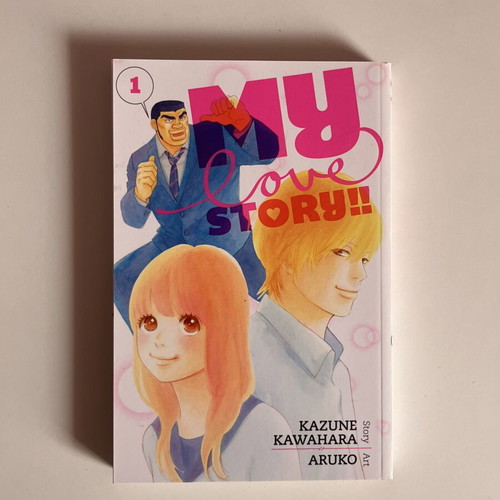 My Love Story Manga Volume 1 Like New