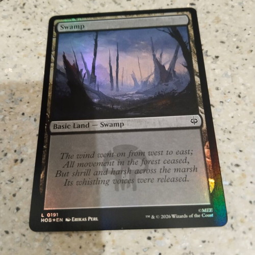 Magic the Gathering Swamp foil card