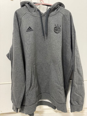 Rapid Wien hoodie used, authentic, size 2XL