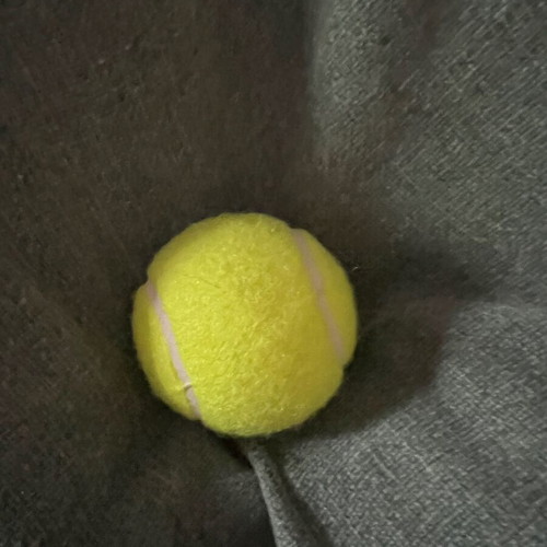 Dog harness new with free ball
