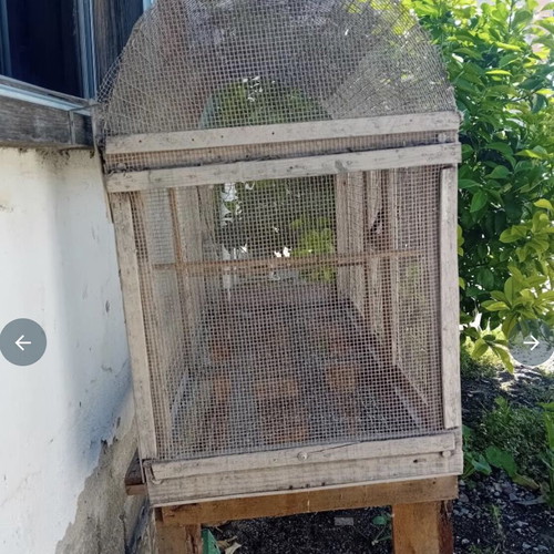 Birdcage used for molting