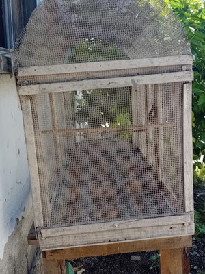 Birdcage used for molting
