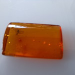 Processed square Baltic amber piece with insects, new