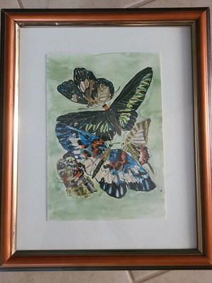 Handmade watercolor set with butterflies new