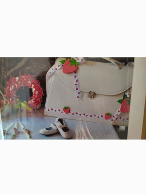 Baptism Clothes Case used