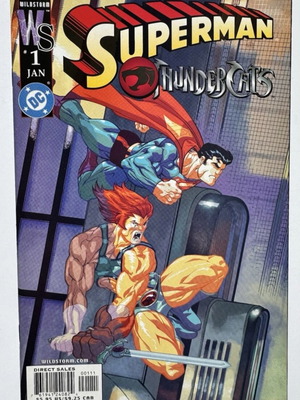 Superman/Thundercats #1 one-shot comic
