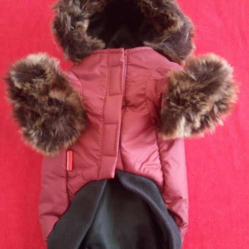 Doggy Dolly Medium dog jacket new