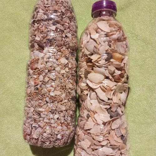 Natural Sea Mix for Crafts and Decoration like new