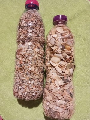 Natural Sea Mix for Crafts and Decoration like new