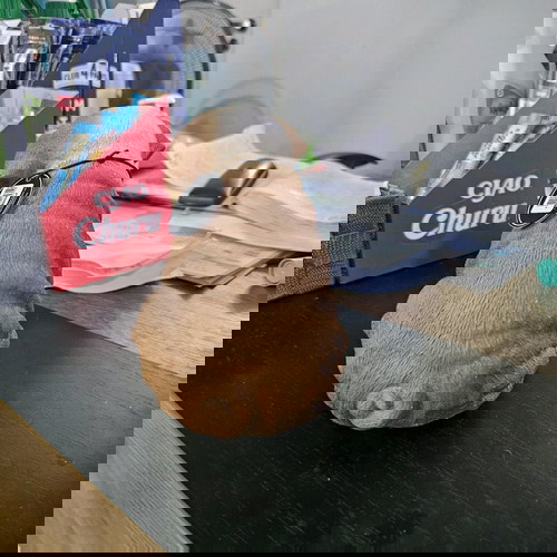 Διακοσμητικό ομοίωμα σκύλου από ρητίνη