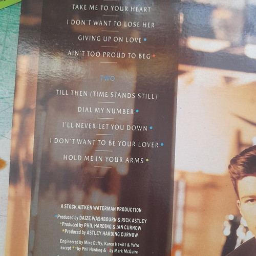 Rick Astley Hold Me In Your Arms vinyl record used, pop